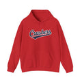 Gildan Crushers Script Hoodie