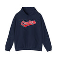 Gildan Crushers Script Hoodie